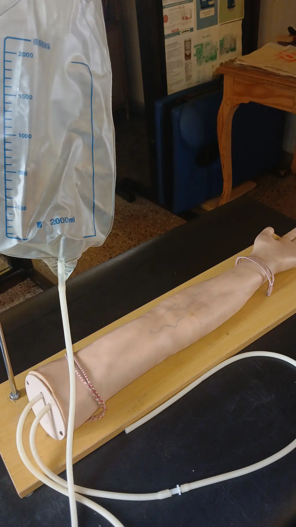 Brazo para Prácticas de Extraccionistas
