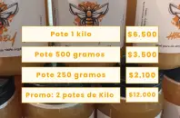 MIEL pura de abeja