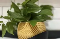 Maceta impresa en 3D