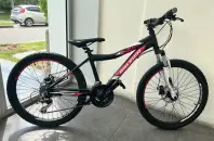 Bicicleta Mountain Bike Raleigh Scout Rodado 24 Mujer
