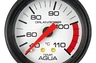 Reloj Termómetro de agua Orlan Rober 421 H 20 mecánico