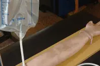 Brazo para Prácticas de Extraccionistas