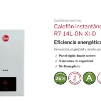 Calefon Rheem 14litros GN Tiro Natural sin llama piloto