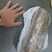 Pan de molde integral (30cm)